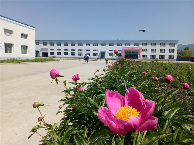 1626357215152786.jpg 廠區(qū)院景.jpg