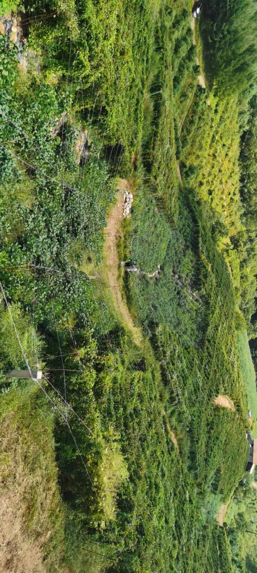 1632279819306075.jpg 11781632279717_.pic_hd.jpg