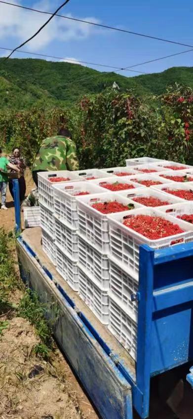 1632280059443207.jpg 11851632279754_.pic.jpg